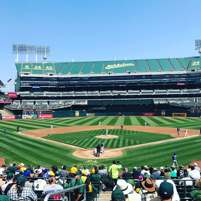 Top 10 Best MILB Stadiums